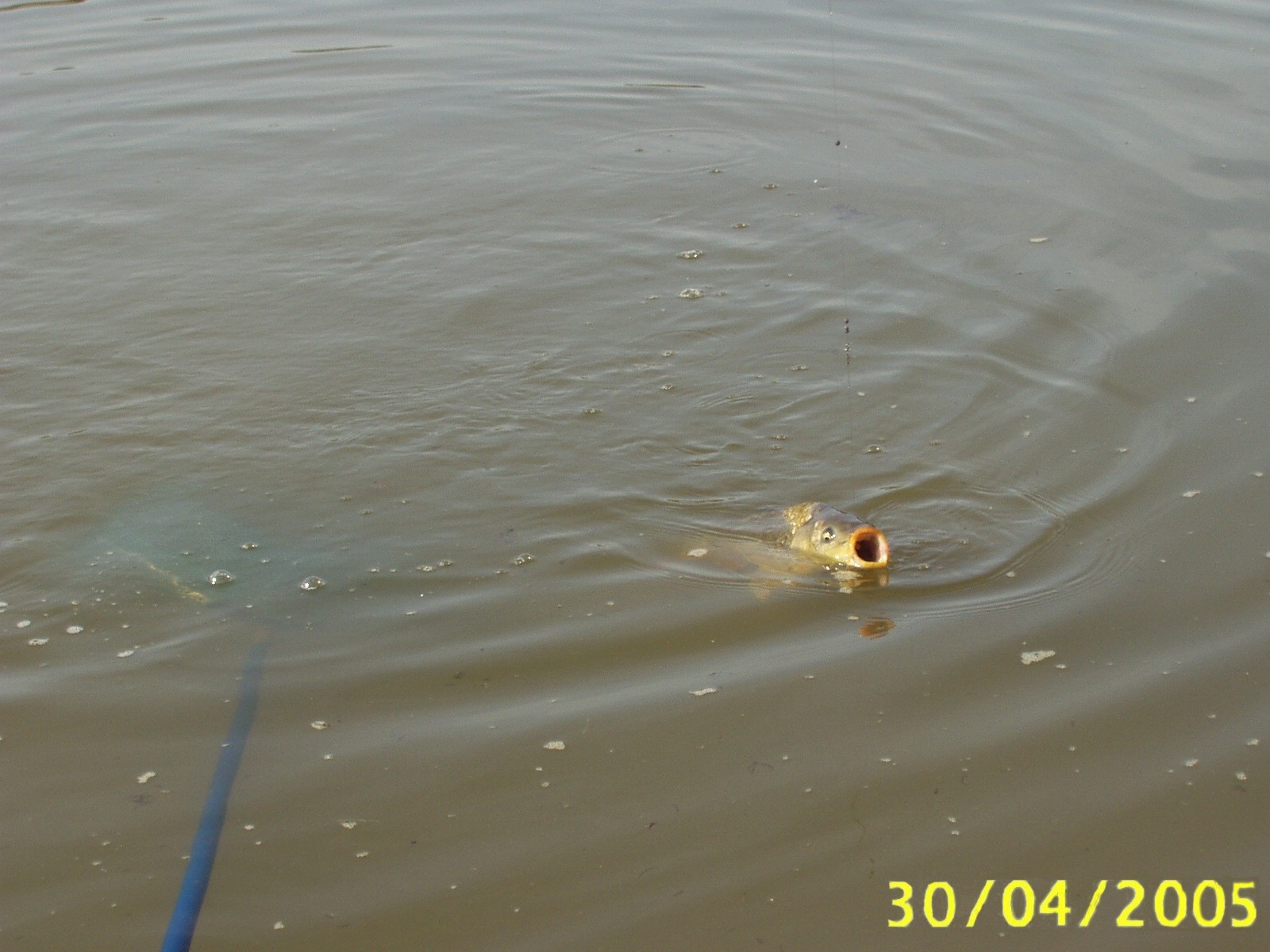 Bonita imagen en El Pe&ntilde;oncillo